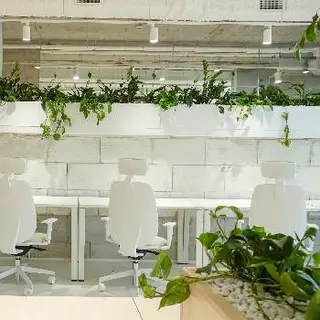 Green Office | Коворкінг Львів | Оренда офісу Львів — фото 2