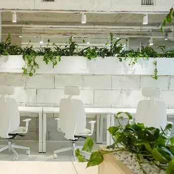 Green Office | Коворкінг Львів | Оренда офісу Львів — фото 2