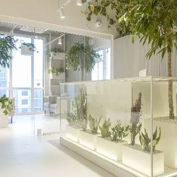 Green Office | Коворкінг Львів | Оренда офісу Львів — фото 4
