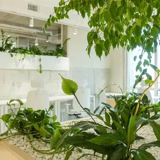 Green Office | Коворкінг Львів | Оренда офісу Львів — фото 5