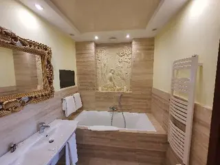 Готель Деліс — фото 4