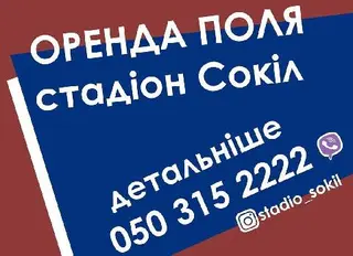 Сокіл — фото