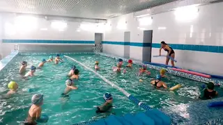 Басейни спортивно-оздоровчий комплекс "Акула" — фото 2