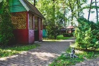 Лісова перлина — фото