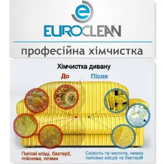 Чистка диванів та килимів Львів | EuroClean — фото 5