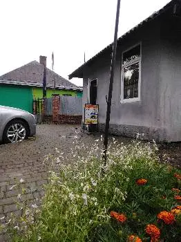 ТОВ '' Діас. І'' Вантажно-пасажирські перевезення Україна - Греція — фото