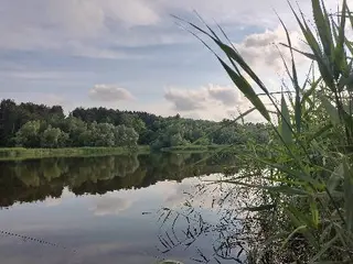 Ресторан «Вілла Австрія» — фото 4