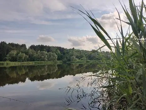 Ресторан «Вілла Австрія» — фото 4