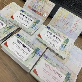 Візова підтримка — фото 2