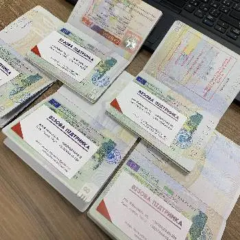 Візова підтримка — фото 2