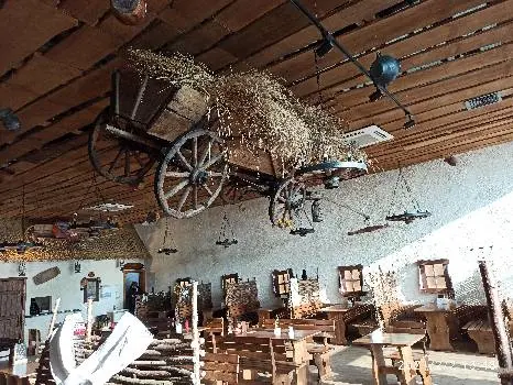 Українська кухня Фіра — фото 5