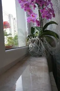 Світ Граніту -вироби з граніту, надмогильні пам'ятники та надгробки — фото 3