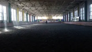 Дитячо-юнацька спортивна школа Буревісник з кінного спорту — фото 3