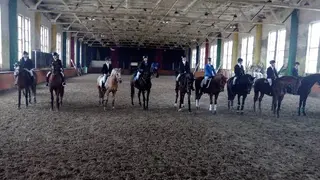 Дитячо-юнацька спортивна школа Буревісник з кінного спорту — фото 4