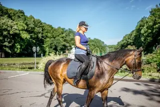 Кінний клуб Львів, "Бухта Вікінгів" — фото 2