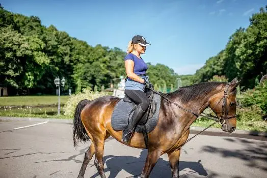 Кінний клуб Львів, "Бухта Вікінгів" — фото 2