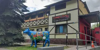 Динамо блюз — фото