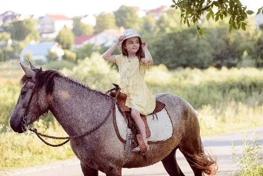 Кінні прогулянки - верхова їзда (катання на конях) Львів — фото 3