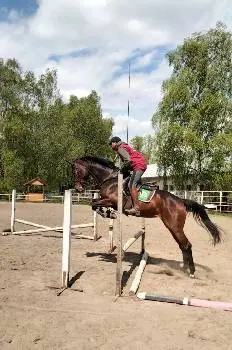 Lemberg Horse Club — фото 5