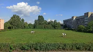Школа верхової їзди Марії Бродської — фото