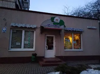 Лотос — фото