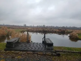 Лазня білогоща — фото 2