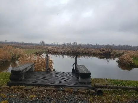 Лазня білогоща — фото 2