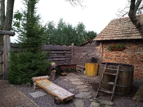 Лазня білогоща — фото 3
