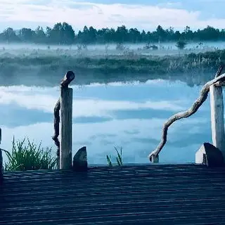 Лазня білогоща — фото 5