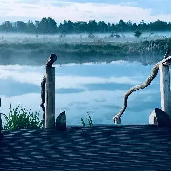 Лазня білогоща — фото 5