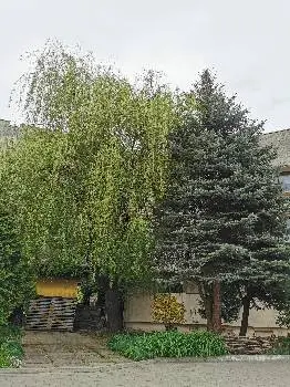Хатха йога з Оленою Логаш (Ніколаєвой) — фото 4