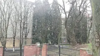 Львівське державне училище фізичної культури — фото 2