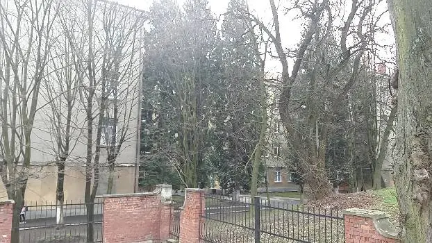 Львівське державне училище фізичної культури — фото 2