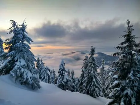 AdventureCarpathians — фото 2