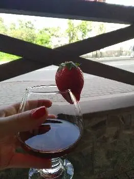 Примавера Люкс — фото 3