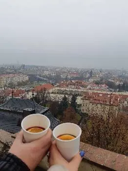 Королівські подорожі — фото 4
