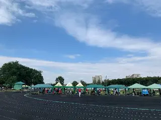 Тир для лучників — фото