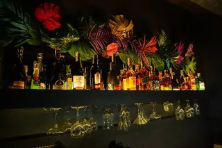 Botanica Party Bar — фото 5