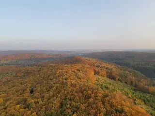 Політ на повітряній кулі у Львові - LeoFly — фото 4