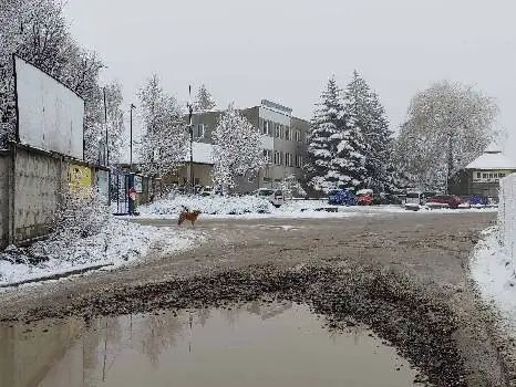 Фенікс Центр - інтернет-магазин будматеріалів у Львові — фото 2