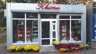 Квіти Патона — фото