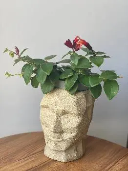 MurMurFlowers - квіти та декор — фото 5