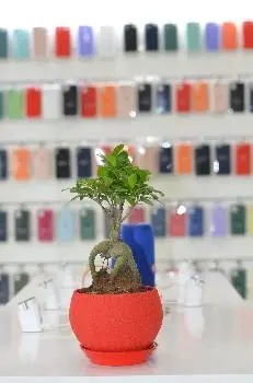 iFruite Store магазин та сервіс техніки Apple Львів — фото 2