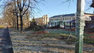 Доставка натуральних домашніх продуктів — фото