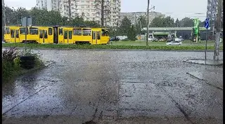 Шиномонтаж , Зберігання шин,Аргонне зварювання,Рихтування дисків,ремонт шин Сихів — фото