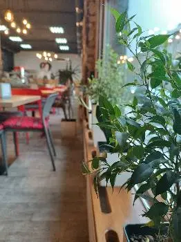 Срібна Ложка — фото