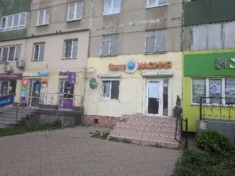 Світ з Насіння — фото 4