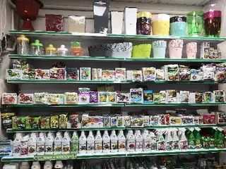 Все для саду та городу — фото 5
