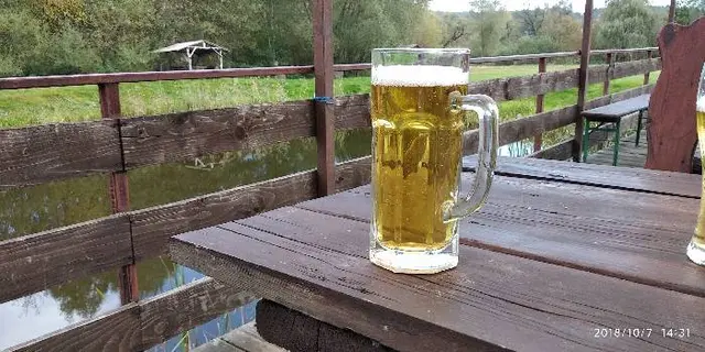 Гостинна поляна — фото 2