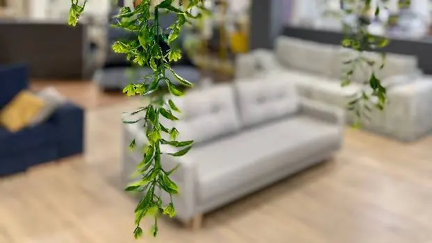 Sofa Concept ТЦ Три слони — фото 2
